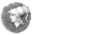 logo con scritta bianca 154x51